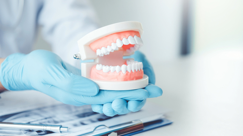 Ostravská univerzita díky akreditaci začne s výukou zubního lékařství