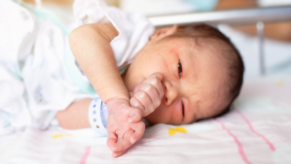 Z Pásma Gazy bylo do Egypta převezeno na 30 předčasně narozených dětí