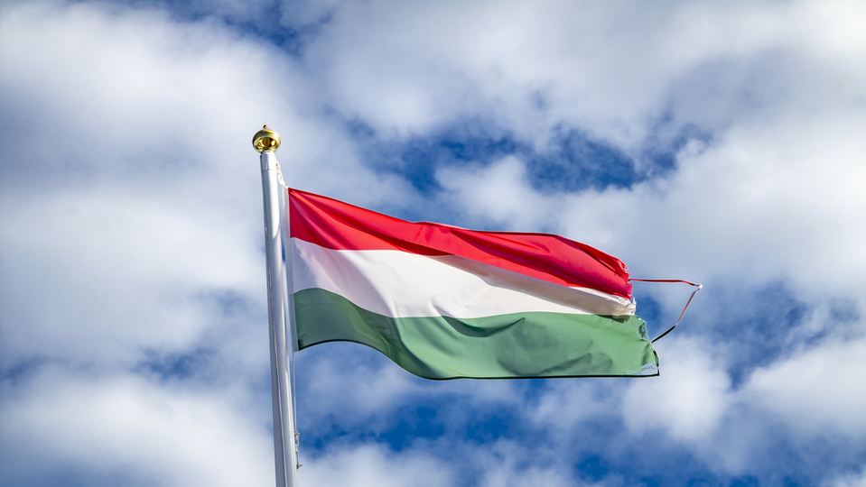 Maďarská opozice podala návrh na svolání mimořádné schůze parlamentu kvůli otázce vstupu Švédska do NATO