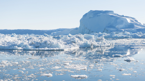 V Grónsku se objevuje nová vegetace na plochách, na kterých předtím roztála ledová pokrývka, podle studie jde o riziko pro životní prostředí