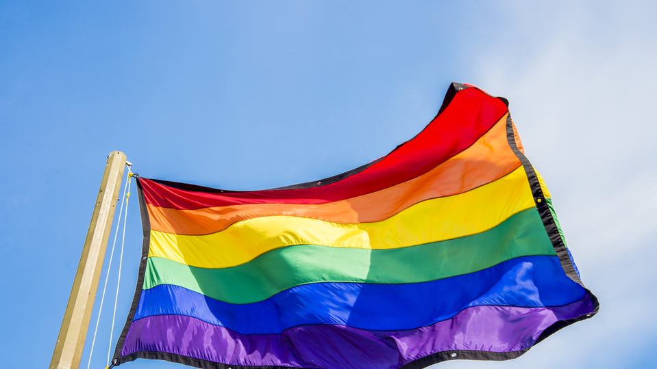 Poslanci dnes zahájili hlasování v otázce stejnopohlavních sňátků