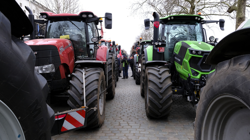 Rostoucí dovoz komodit ze zahraničí, byrokracie a zdražování jsou největší problémy, na které při demonstraci v Praze zemědělci