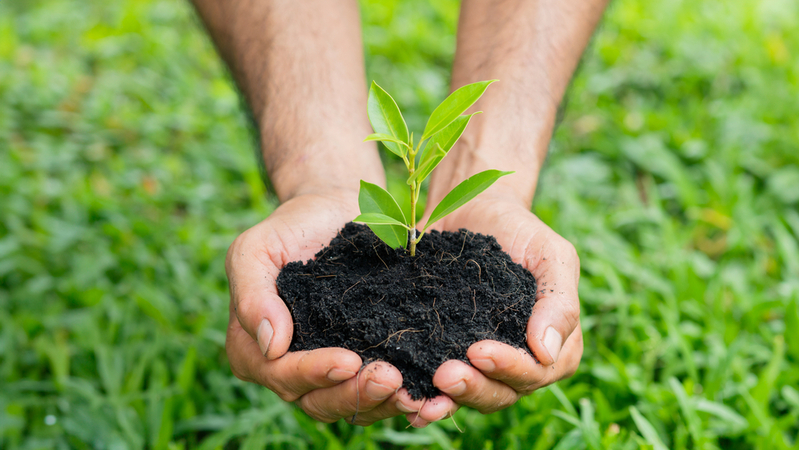 V Brně budou jednat ministři životního prostředí 9 zemí společně se zástupci Evropské agentury životního prostředí o větší ochraně přírody