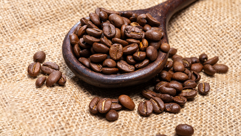 EU poskytne Ugandě grant v hodnotě 40 milionů eur, finance mají sloužit na pomoc s následky odlesňování kvůli dovozu kávy do EU