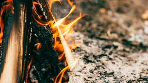 Státní podnik Lesy České republiky kvůli riziku požárů zakázal ve svých lesích od dubna do konce října pálení klestí