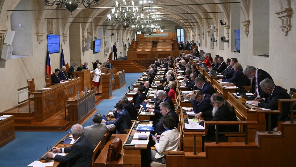 Senát umožnil přijetí nových pravidel pro partnerství stejnopohlavních párů s většinou práv manželů bez projednání na své schůzi