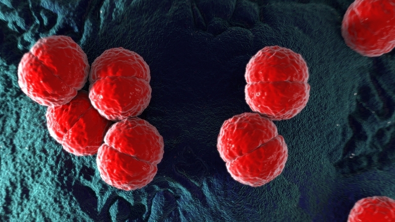 Odborníci očekávají nárůst případů postižených meningokokem, covidový útlum již končí 