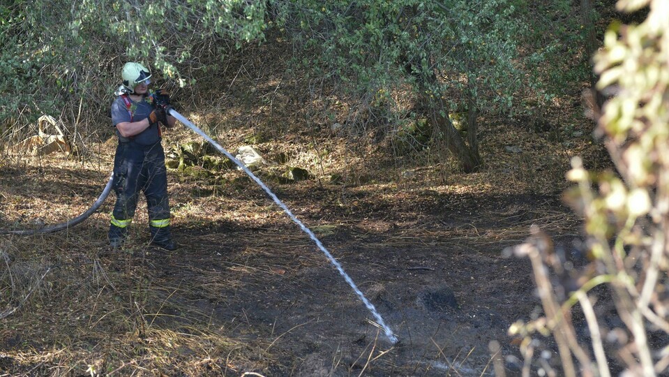 Hasiči od rána pokračují s hašením hořícího lesa u Žehrova na Mladoboleslavsku