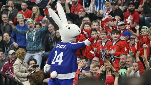 Policie v Praze zajistila 35 falešných lístků na MS v hokeji, poškozeným byla způsobená škoda 70 000 Kč