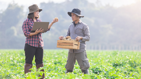 Pěstitelé mohou nově žádat o podporu za škody způsobené mrazy
